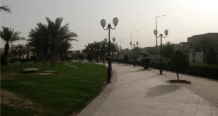 حي الواحة الرياض