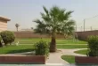 شاليهات شرق الرياض